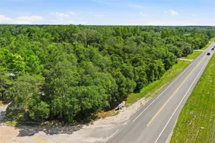 State Road 44, Eustis, FL 32726 - Photo 1
