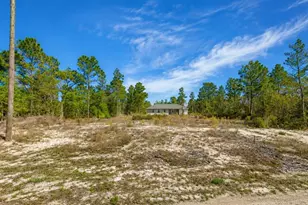 3539 W Seahorse Ln, Citrus Springs, FL 34433 - Photo 1