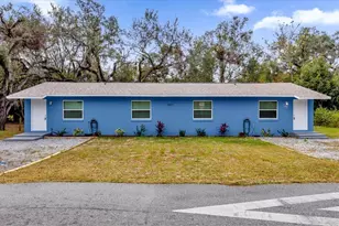 2307 Mispah Ave, Leesburg, FL 34748 - Photo 1