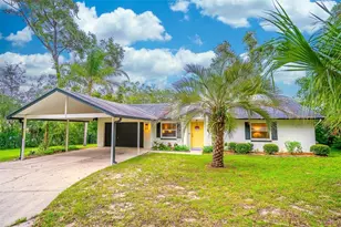 31050 Lochmore Cir, Mount Plymouth, FL 32776 - Photo 1