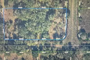 3300 W Tannen Rd, Avon Park, FL 33825 - Photo 1