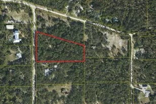 465 Pine View Trail, Kissimmee, FL 34747 - Photo 1