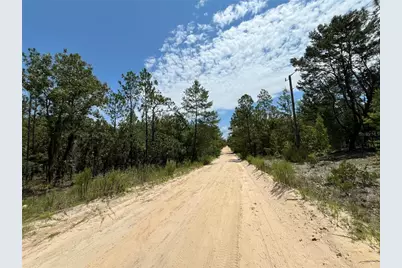 424 Nova Scotia Street, Interlachen, FL 32148 - Photo 1