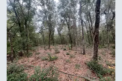 Pat Avenue, Interlachen, FL 32148 - Photo 1