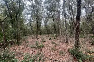 Pat Ave, Interlachen, FL 32148 - Photo 1