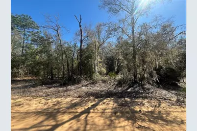Kitty, Interlachen, FL 32148 - Photo 1