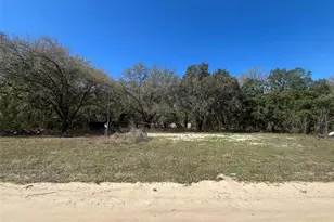 611 Michael Ave, Interlachen, FL 32148 - Photo 1