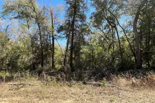 Walker, Interlachen, FL 32148 - Photo 1