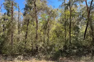 Walker, Interlachen, FL 32148 - Photo 1