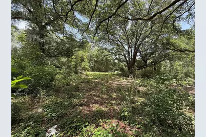 101 Joel Avenue, Interlachen, FL 32148 - Photo 1