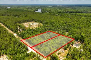 Tbd NE 899th St, Old Town, FL 32680 - Photo 1