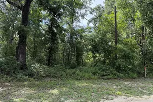 Running Springs Dr, Live Oak, FL 32060 - Photo 1