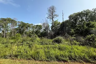 204 Hazel Ave, Georgetown, FL 32139 - Photo 1