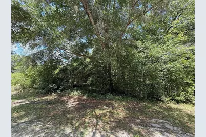 Tbd 136th Court, Dunnellon, FL 34432 - Photo 1
