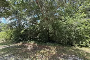 Tbd 136th Ct, Dunnellon, FL 34432 - Photo 1