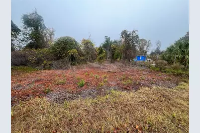 512 Dogwood Avenue, Georgetown, FL 32139 - Photo 1