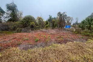 512 Dogwood Ave, Georgetown, FL 32139 - Photo 1