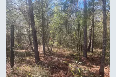 Tbd Martha Drive, Interlachen, FL 32148 - Photo 1