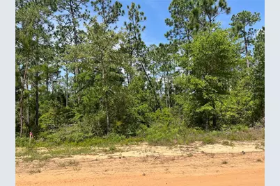 Holly Springs Avenue, Alford, FL 32420 - Photo 1