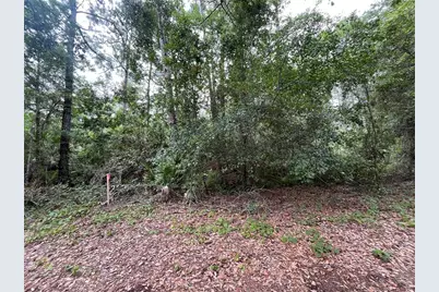 223 Ward Avenue, Crescent City, FL 32112 - Photo 1