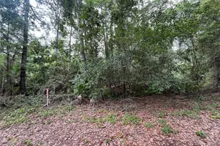 223 Ward Ave, Crescent City, FL 32112 - Photo 1