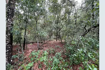 Tbd Rintz Street, Interlachen, FL 32148 - Photo 1