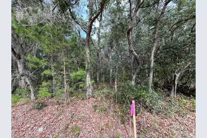 304 Gloria Avenue, Interlachen, FL 32148 - Photo 1