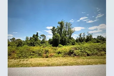 449 Hallmark Avenue, Lake Placid, FL 33852 - Photo 1