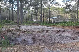 107 Pine Ave, Georgetown, FL 32139 - Photo 1