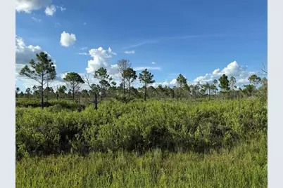 15827 NW 272nd Street, Okeechobee, FL 34972 - Photo 1