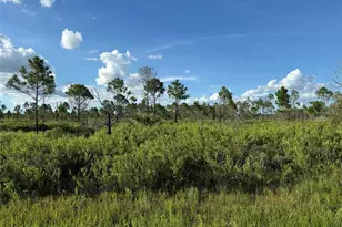 15827 NW 272nd St, Okeechobee, FL 34972 - Photo 1