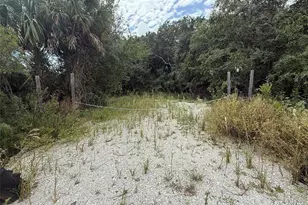 17376 NW 320th St, Okeechobee, FL 34972 - Photo 1