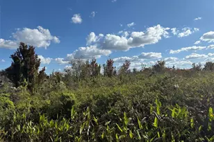 19624 NW 244th St, Okeechobee, FL 34972 - Photo 1