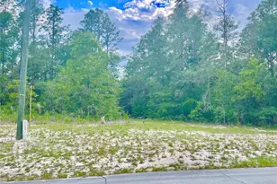 Tbd SW 89th Circle, Ocala, FL 34473 - Photo 1