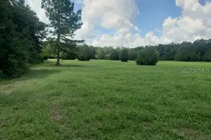 Tbd NE 17th Pl, Williston, FL 32696 - Photo 1