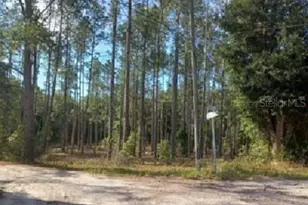 Tbd SW Corner Sw95 Ave\Sw 158 Ln, Dunnellon, FL 34432 - Photo 1