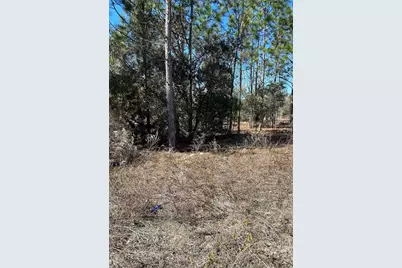 Tbd Evergreen Court, Dunnellon, FL 34431 - Photo 1