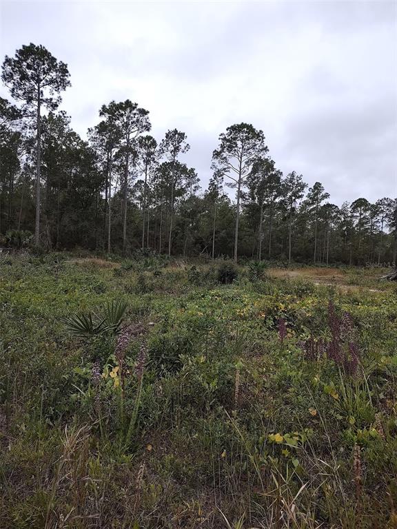 148th Terrace Rd, Fort Mc Coy, FL 32134 MLS OM668000 Coldwell Banker