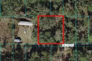 00 NE 158th St, Fort Mc Coy, FL 32134 - Photo 1