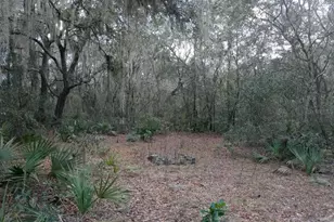 00000 NE 213 Pl, Fort Mc Coy, FL 32134 - Photo 1