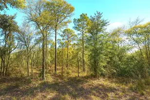 00 NE 122nd Ave, Williston, FL 32696 - Photo 1