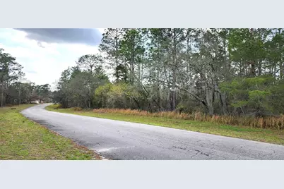 Lot 12 SW 152nd St, Ocala, FL 34473 - Photo 1