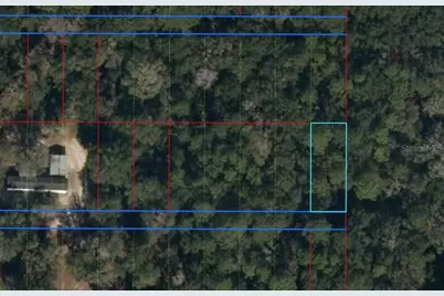 Lot 31 NW 55 Place, Chiefland, FL 32626 - Photo 1