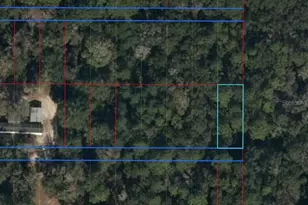 Lot 31 NW 55 Pl, Chiefland, FL 32626 - Photo 1