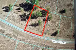 Maple Loop Terrace, Ocklawaha, FL 32179 - Photo 1