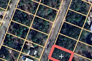 0 NE 154th Terrace, Williston, FL 32696 - Photo 1