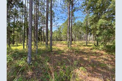 Tbd SE 78th Street, Morriston, FL 32668 - Photo 1