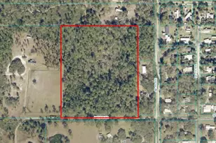 NE 115th Ave, Silver Springs, FL 34488 - Photo 1