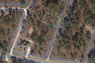 Lot 5 NE 156 Ave, Williston, FL 32696 - Photo 1