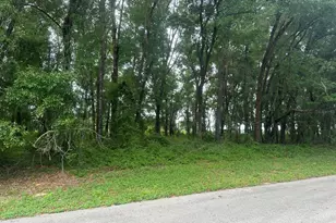 0 SW 168th Loop, Ocala, FL 34473 - Photo 1